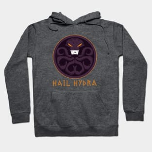 Hail HYDRA Hoodie